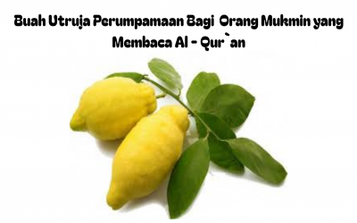 Perumpamaan Orang Mukmin yang Membaca Al-Qur`an
