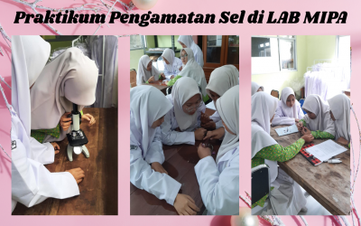 Praktikum Biologi Kelas XI: Pengamatan Sel di Ruang LAB MIPA